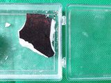 deux morceaux de chocolat dans un récipient en plastique posé sur une surface verte