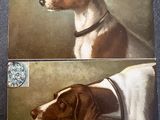 painting of a dog and a cat on a tile wall