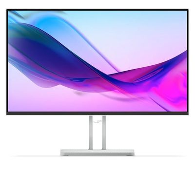 Ecran PC Lenovo L24I 4A 24 100Hz 1ms.