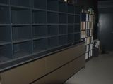 bookshelves are lined up in a dark room with a cat sitting on the floor