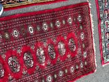 a cat that is sitting on a rug on the ground