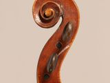 a close up of the back of a violin with a scroll