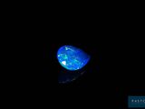 a blue oplite in the dark