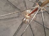 a close up view of an open umbrella with a wooden handle