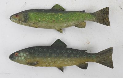 two fish that are sitting next to each other on a table