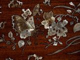 a butterfly that is sitting on top of a wooden table