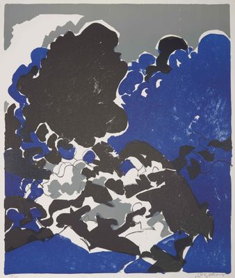 une image représentant un tableau bleu et noir avec des nuages en arrière-plan