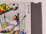 a video game with a soccer player kicking a soccer ball
