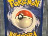 the pokemon card is in a clear plastic case