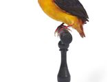 un oiseau perché au sommet d'un poteau noir