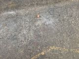 a close up of a piece of rock with writing on it