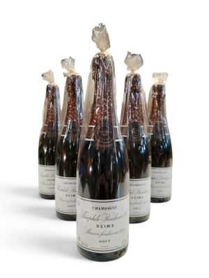 six bouteilles de vin sont alignées sur une surface blanche