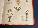 a picture of a book with a bunch of flowers on it