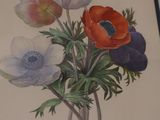 a picture of a painting of anemonias in a vase