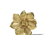 an image of a gold flower brooch on a white background