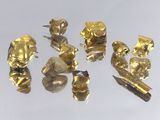 Plusieurs pièces d'or sont exposées sur une surface blanche