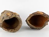 two pieces of wood that have been dug into the ground