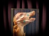 a picture of a dog that is in a glass case