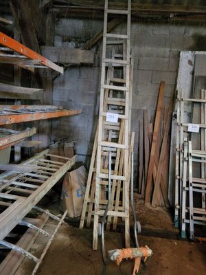 a dog that is standing in front of a bunch of wooden ladders