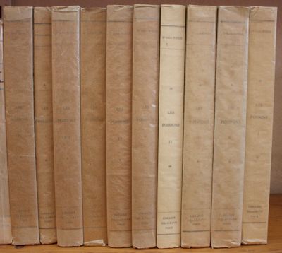 several old books are lined up in a row on a wooden shelf