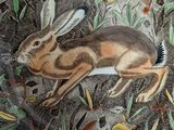 a plate with a picture of a rabbit on it
