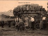 une photo en noir et blanc représentant un groupe d'hommes avec des vélos