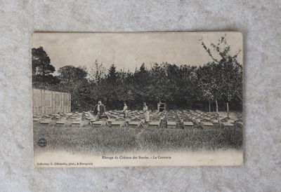 une vieille photo montrant un groupe de personnes travaillant dans un jardin
