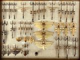 many different types of insects displayed in a wooden frame