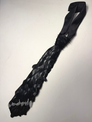 une image représentant une cravate noire ornée de plumes