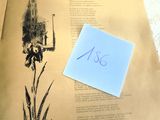 un morceau de papier sur lequel est dessiné une fleur