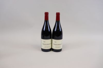 deux bouteilles de vin rouge posées l'une à côté de l'autre sur une surface blanche