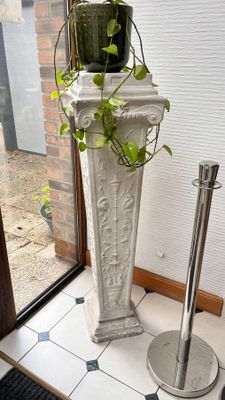 une plante posée sur un socle près d'une fenêtre