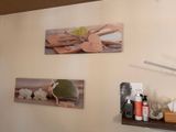 pictures on the wall above the toilet in the bathroom