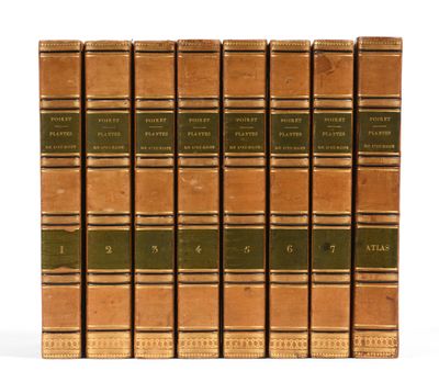 six old books are lined up in a row on a white surface