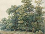 une image représentant un tableau montrant des arbres dans un champ