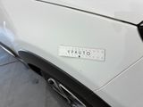 a close up of a sticker on the side of a car