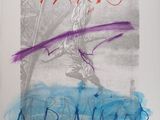 the cover of a book with a drawing of a person on a surfboard