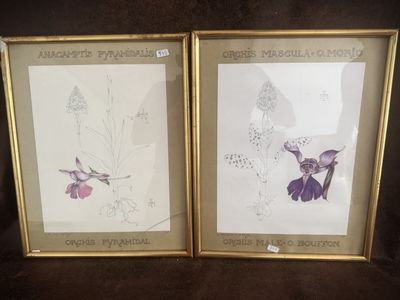 two framed pictures of purple flowers on a black background