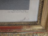 a picture of a picture of a bird in a gold frame