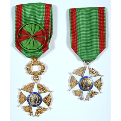 two medals with ribbons and a star on a white background