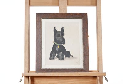 une photo d'un chien noir assis sur un chevalet