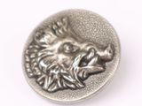 a close up of a metal button with a lion head on it