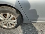 a shadow of a cat on the side of a car