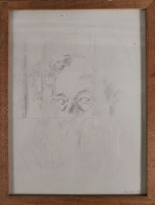 portrait d'un homme barbu dans un cadre en bois