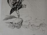 drawing of a bird flying over a person ' s head and a hand reaching for a bird