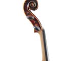 a close up of a violin on a stand against a white background