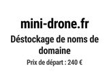 Photo 1/1 du lot