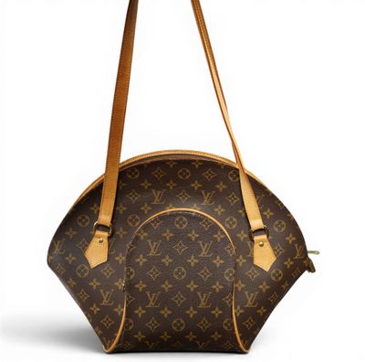 a louis vuitton handbag on a white background