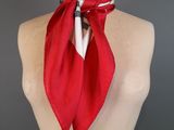 an image of a mannequin torso with a red scarf on it