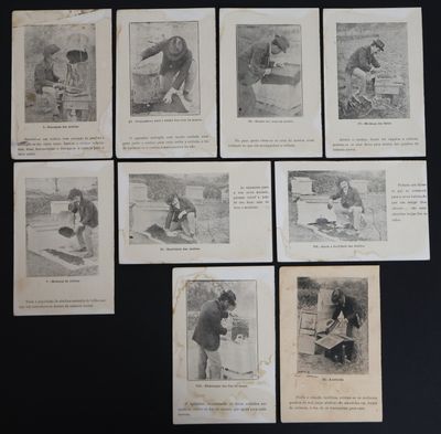 plusieurs vieilles photographies en noir et blanc représentant un homme et un chien